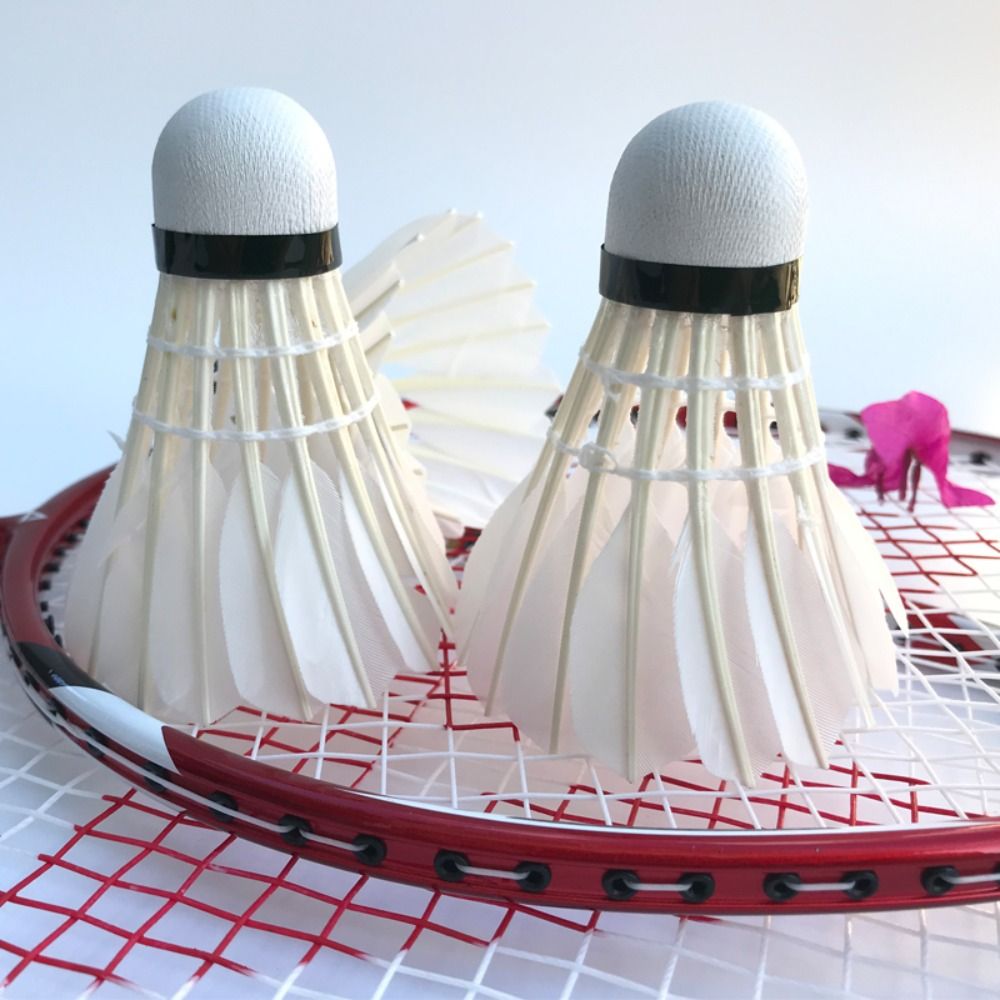 3/6/12 adet yeni beyaz badmint - Badminton House incelemesi ve fiyatı